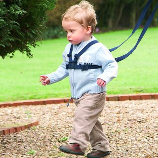 Clippasafe Walking Harness