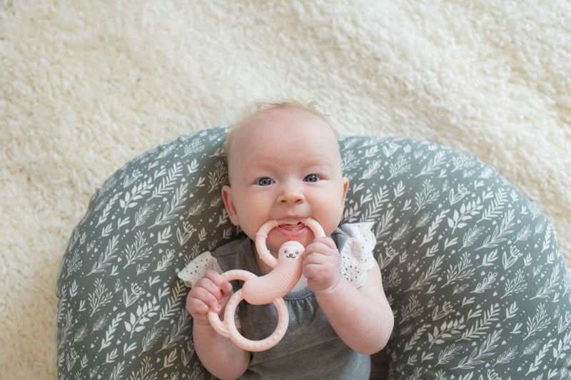 Dr. Brown's Flexees Silicone Teether Sloth Pink