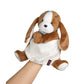 Kaloo Les Amis Doudou Puppet Tiramisu Dog 25cm